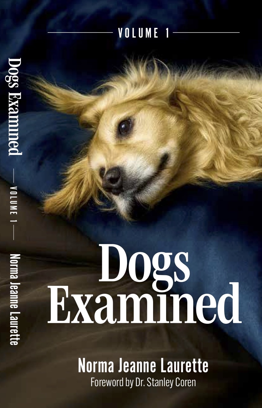 Blueprint to a Happy Dog book cover